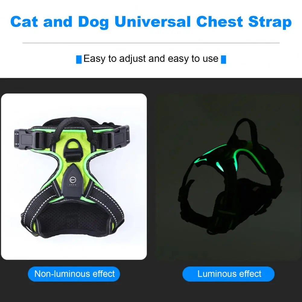 LumiLeash Dog Vest