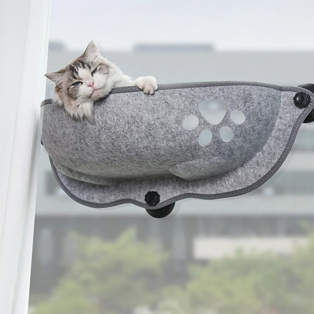 Hanging Beds for Kittens