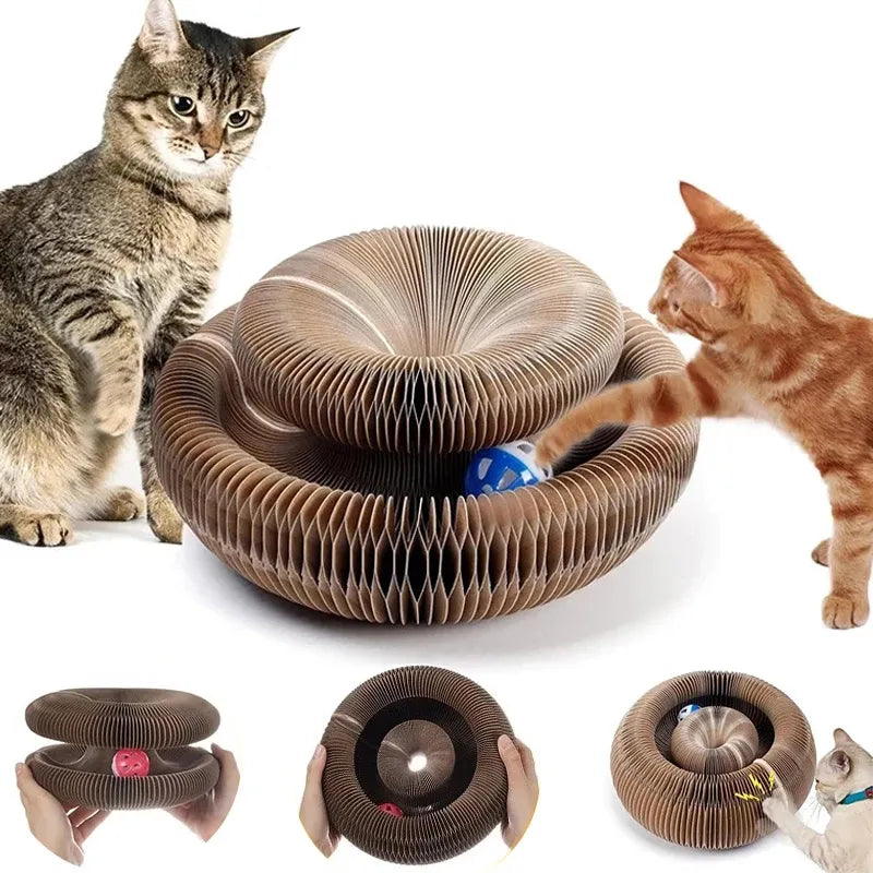 Magic Organ Cat Scratch Toy