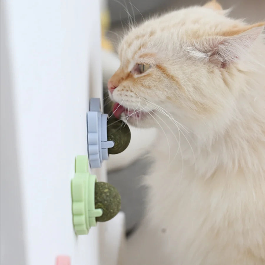 Rotating Catnip Balls