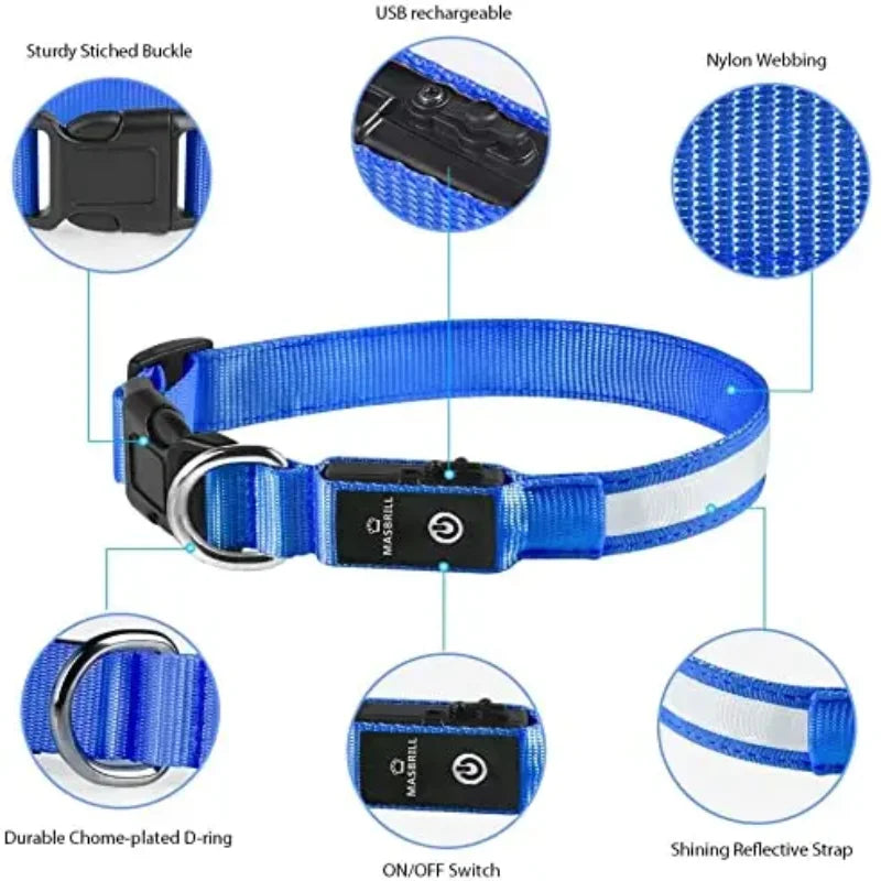 LumiPet USB Charging Dog Collar