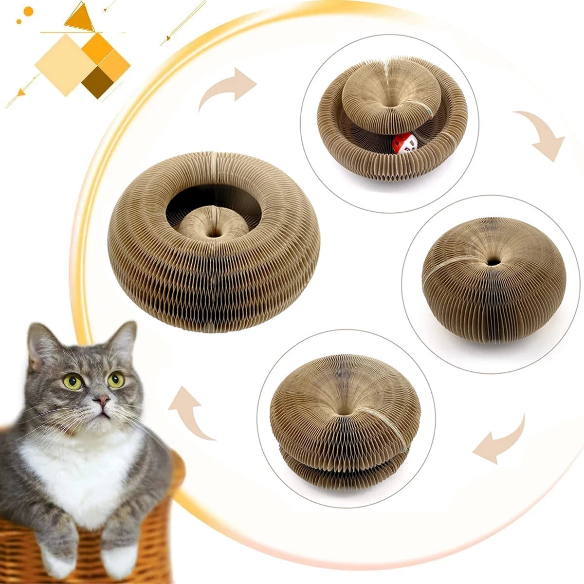 Magic Organ Cat Scratch Toy