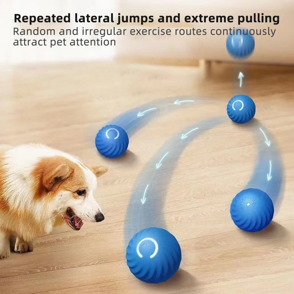 Smart Ball for Games for Dogs