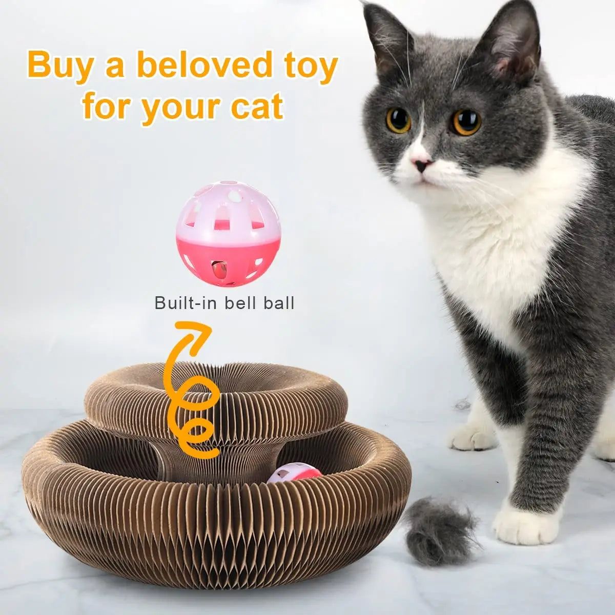 Magic Organ Cat Scratch Toy