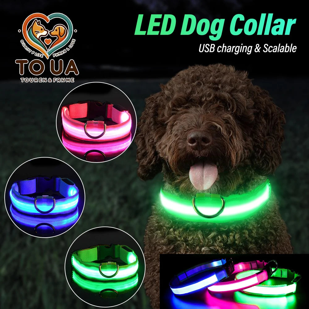 LumiPet USB Charging Dog Collar