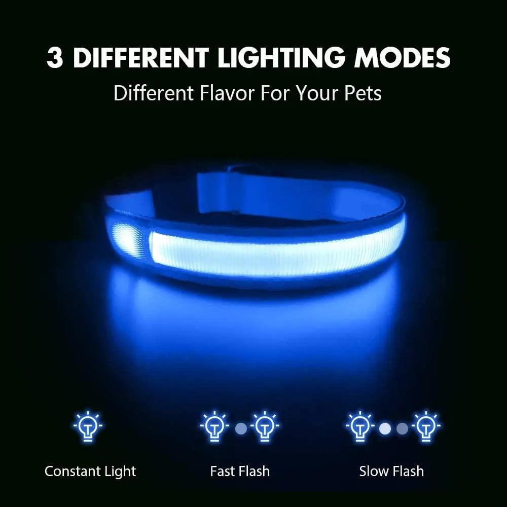 LumiPet USB Charging Dog Collar