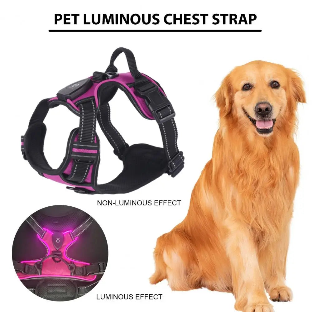 LumiLeash Dog Vest