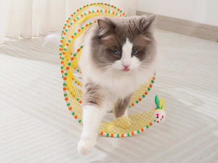 Interactive Cat Tunnel Tube